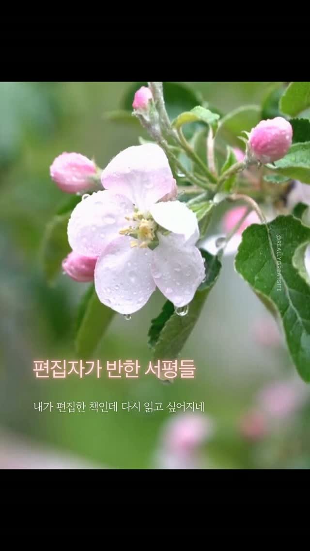 miryubook 게시물 이미지: #서평단리뷰 #나는수술하는정신과의사입니다

책을 선택하는 뚜렷한 기준이 있으신가요?...
