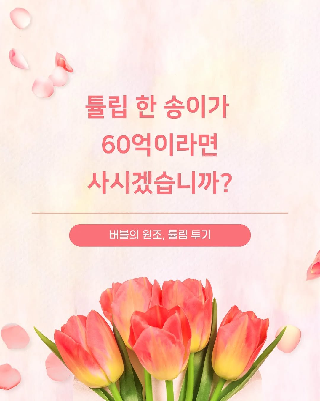 Photo by 미류책방 on April 20, 2026. May be an image of text that says '튤립 한 송이가 60억이라면 사시겠습니까? 버블의 원조, 튤립 버블의원조,튤립투기 튤립투기 투기'.