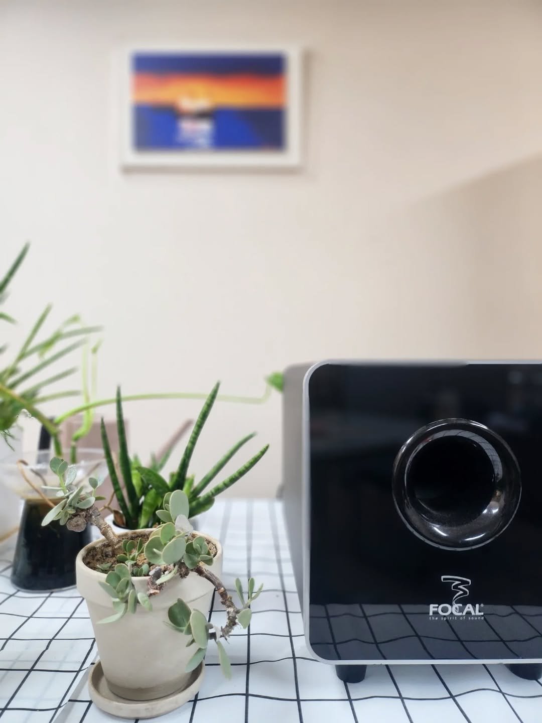 Photo by 미류책방 on July 22, 2025. May be an image of speaker, amplifier, thermostat, house plant, subwoofer and text that says 'FOCAL PUS FOCAL af'.