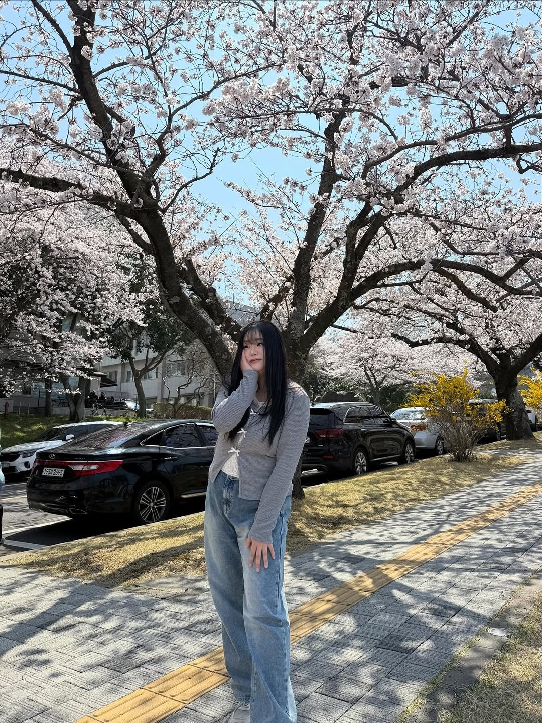 Photo by 미소 miso on April 06, 2026. May be an image of stone-fruit tree and text.