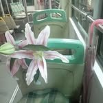 lioqe.zib 프로필 사진