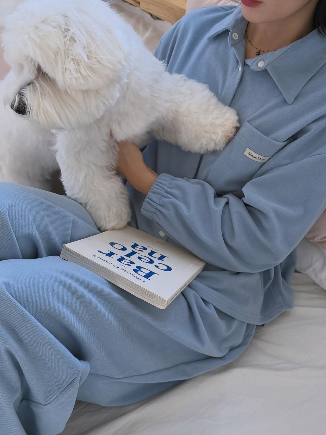 Photo by Mistic Moon (미스틱문) on January 14, 2026. May be an image of Maltese, sleepwear, bath robe and text.