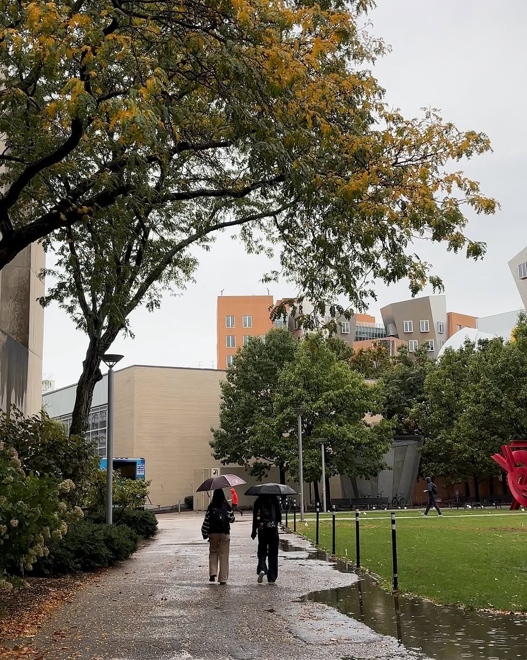 Photo by MIT on October 08, 2025. May be an image of 3 people, umbrella and text.