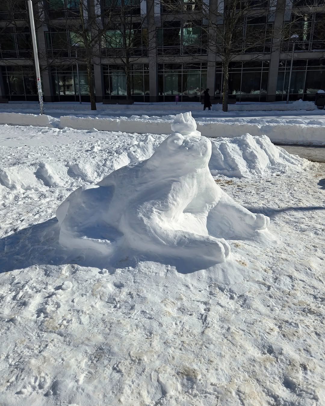 Frog snow sculpture on Hockfield Court.