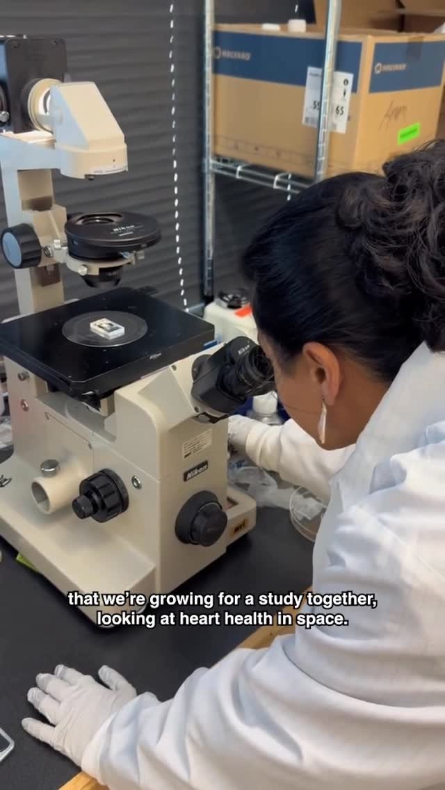 mit 게시물 이미지: Join Anna Wadhwa for a day in her life...