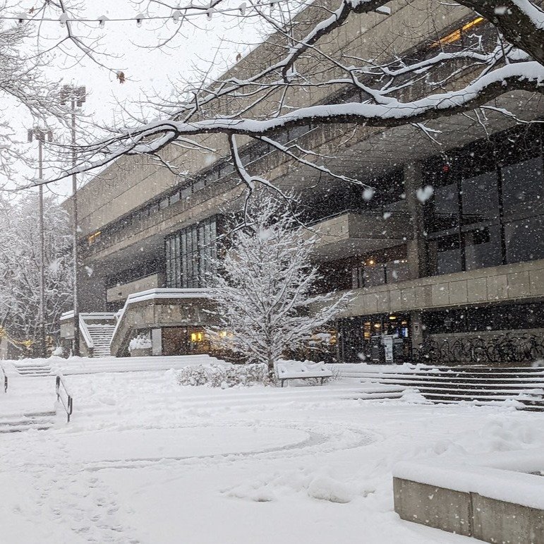 Snow covered MIT student center with the trees lined with fresh snow.