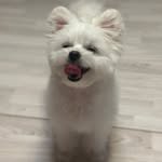 muk_zhu 프로필 사진