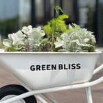 greenbliss_jeju 프로필 사진
