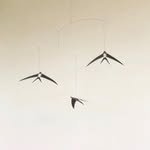 erip_jeju 프로필 사진