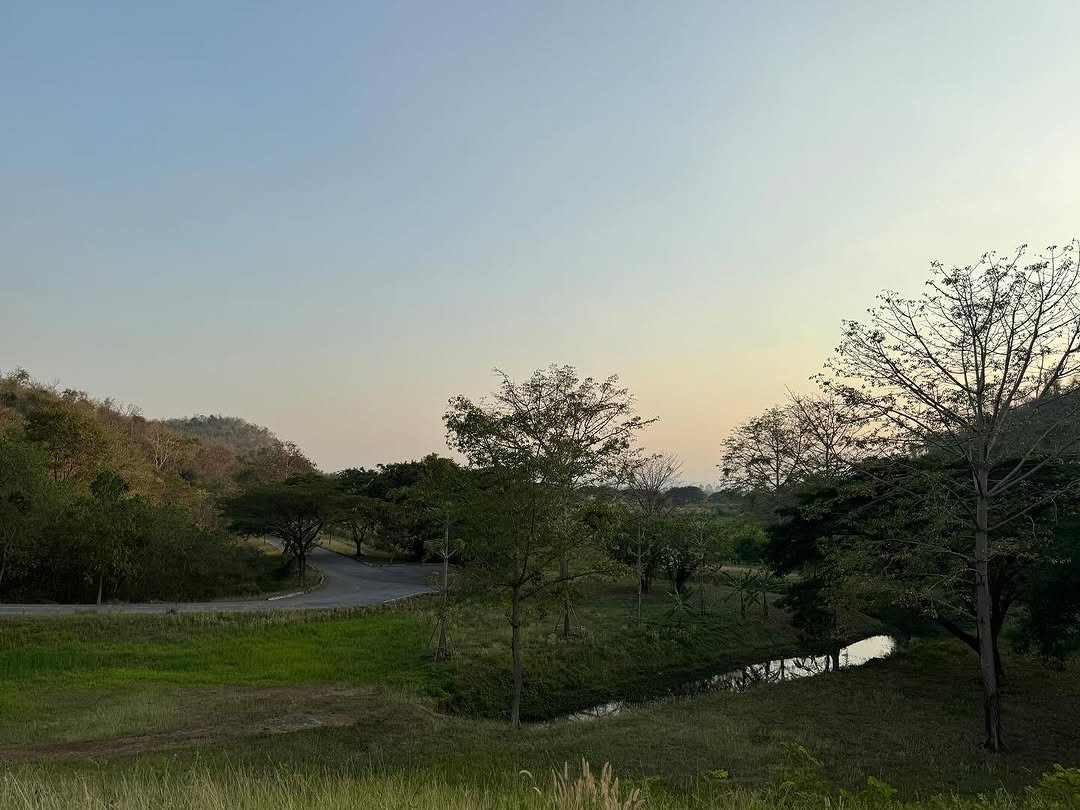 Photo by Mixxiw on January 24, 2024.