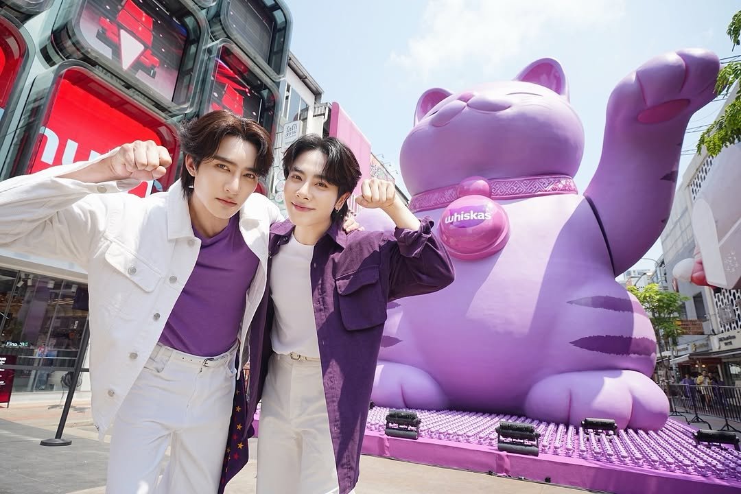 mixxiw 게시물 이미지: อยากให้แมวของทุกคนมีสุขภาพที่แข็งแรง...