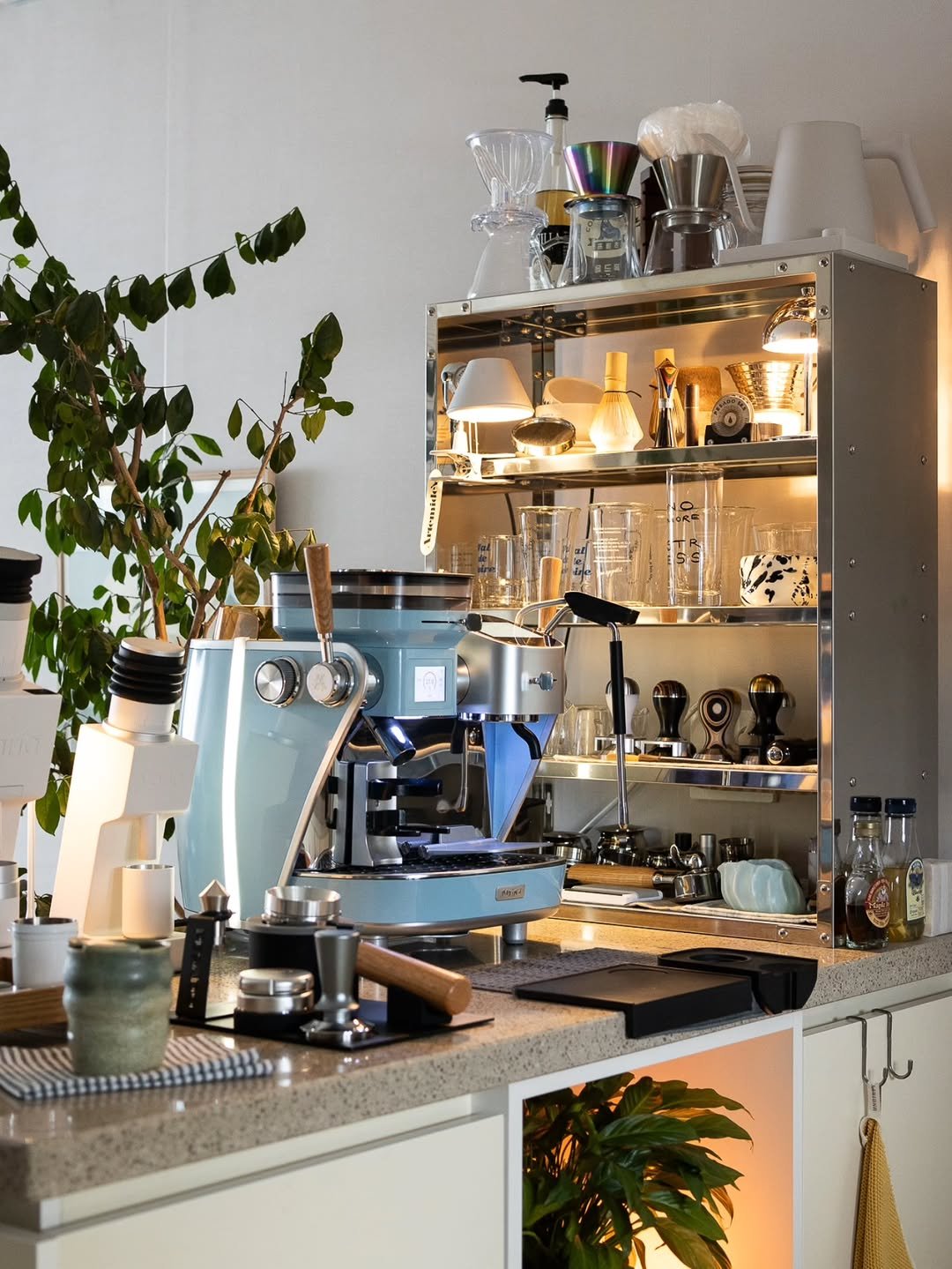 Photo shared by Megan | 메건's home on September 20, 2025 tagging @maxims.de.paris. May be an image of coffee maker, coffee cup, cornflower and text.