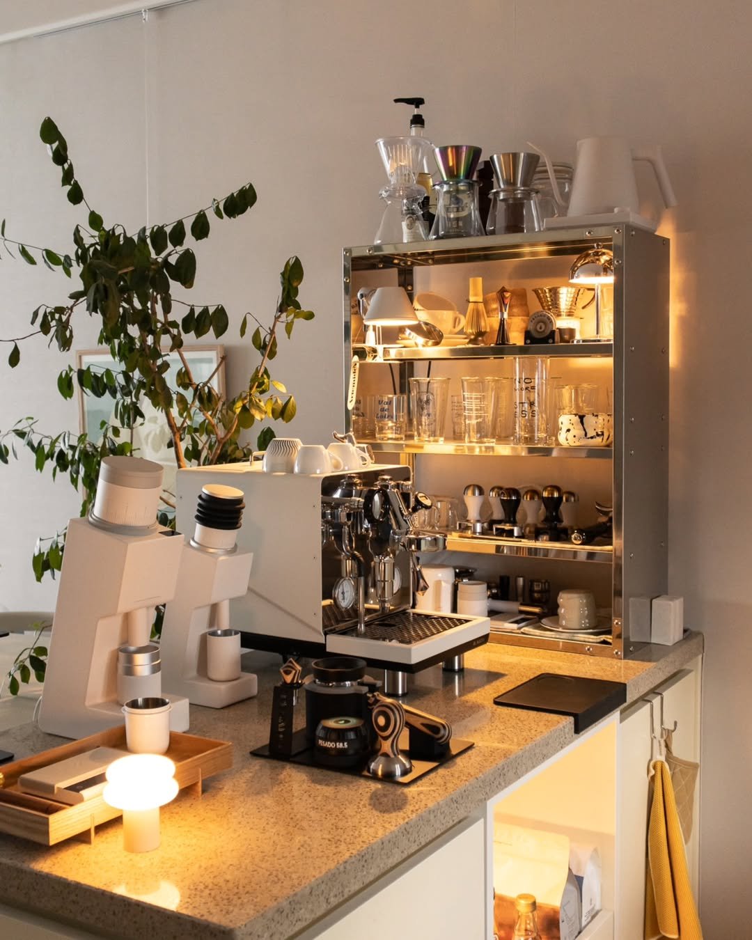Photo shared by Megan | 메건's home on August 06, 2025 tagging @nordicnest.kr. May be an image of tea maker, coffee maker, carafe, countertop, shelf, kitchen appliance, spice rack, rack, cornflower, indoors, kitchen and text.