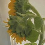 mm_fave 인스타그램 프로필 사진