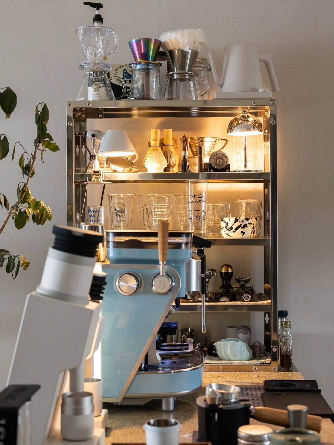 Photo shared by Megan | 메건's home on December 24, 2025 tagging @nordicnest, and @maxims.de.paris. May be an image of tea maker, grinder, coffee cup, coffee maker, kitchen appliance, rack, cornflower and text.