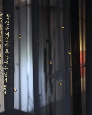 Photo by 국립현대미술관 미술관교육 on June 04, 2025. May be an image of cockroach, wind chime, harp and curtains.