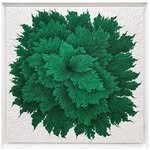 kim.sooncheol 프로필 사진