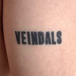 veindals 프로필 사진