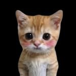 gamseong_song 프로필 사진