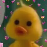 musicducku 프로필 사진