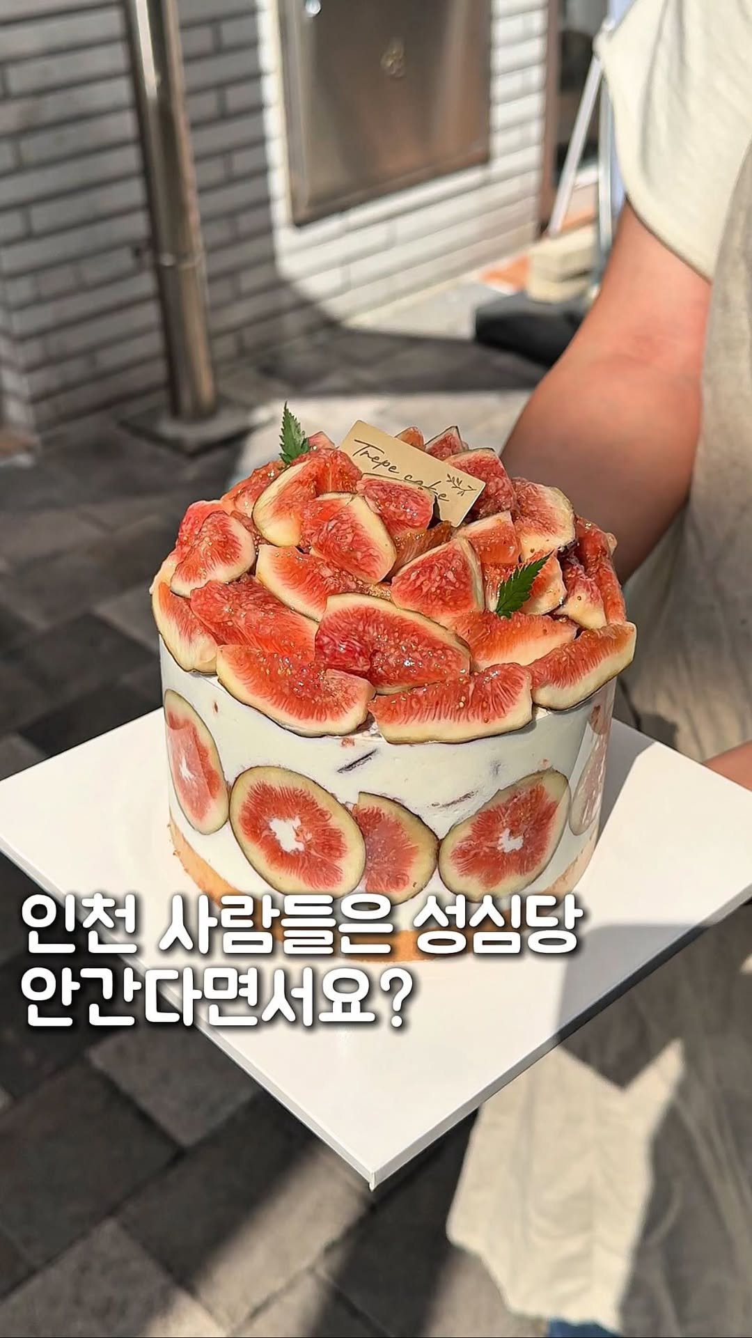 mo_muknyang 게시물 이미지: 인천사람들은 성심당 안간다던데요?

인천에 있는 키위망고시루입니다
촉촉한 시트위에...