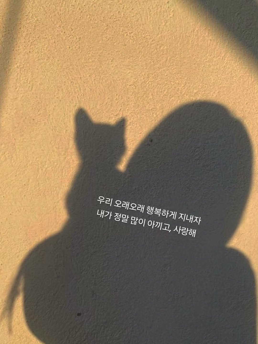 Photo by 나영, 문득 전하고 싶은 말 on December 21, 2025. May be an image of kitten, tortoiseshell cat and text that says '우리 오래오래 행복하게 지내자 내가 정말많이 많이 아끼고, 정말 사랑해'.