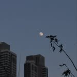 _jiny00ung 프로필 사진