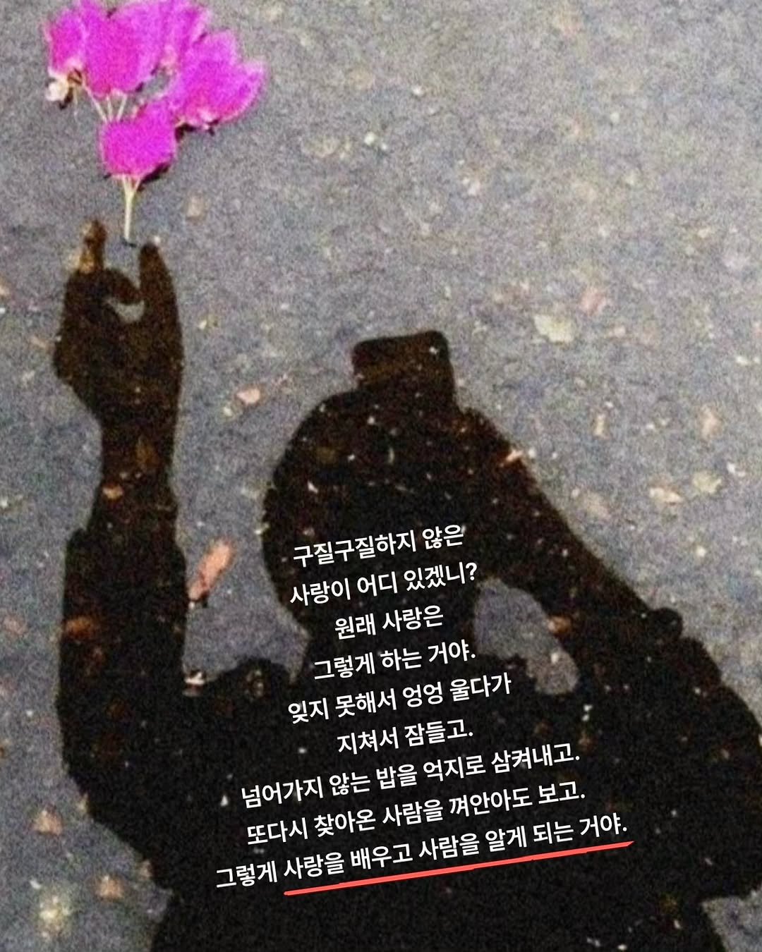 Photo by 나영, 문득 전하고 싶은 말 on November 10, 2025. May be an image of umbrella, flower and text that says '구질구질하지 않은 사랑이 어디 있겠니? 원래 사랑은 그렇게 하는 거야. 잊지 못해서 엉엉 울다가 지쳐서 잠들고. 넘어가지 않는 밥을 억지로 삼켜내고 또다시 찾아온 사람을 껴안아도 보고 그렇게 사랑을 배우고 사람을 알게 되는 거야.'.