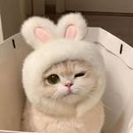 f__amous__saying 프로필 사진