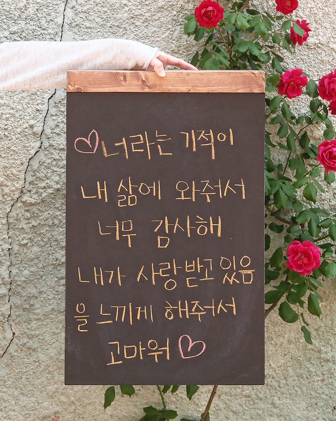 mo_ndeuk 게시물 이미지: 너라는 기적

#사랑 #연애 #커플 #감성 #글귀