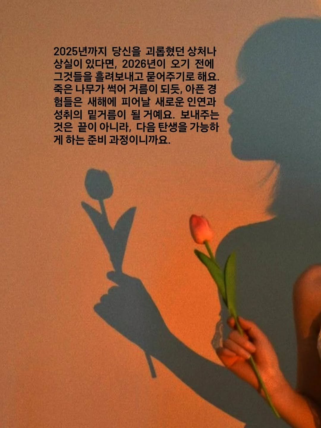 Photo by 나영, 문득 전하고 싶은 말 on December 30, 2025. May be an image of baby's-breath and text that says '2025년까지 당신을 괴롭했던 혔던상처나 상처나 상실이 있다면, 2026년이 오기 전에 그것들 들을 흘려보내고 묻어주기로 해요. 죽은나무기 나무가 썩어 거름이되듯, 되듯, 아픈경 죽은 험들은 새해에 피어날 새로운 인연과 성취의 밑거름이 될거예요. 보내주는 것은 끝이 아니라, 다음 탄생을 게 하는 준비 과정이니까요.'.