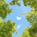 clear_geul 프로필 사진