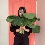 modely_yy 인스타그램 프로필 사진