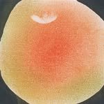 jiyungleee 프로필 사진