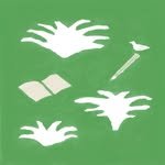 yoli_graphics 프로필 사진