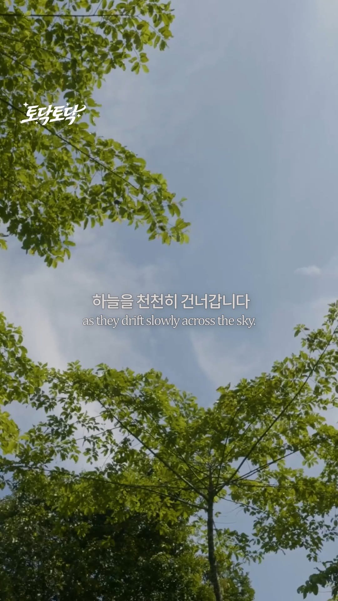 mohw_kr 게시물 이미지: 토닥토닥 EP24 | 우리 안의 자유도 조용히 피어나기를 바랍니다. 🕊️

🍃...