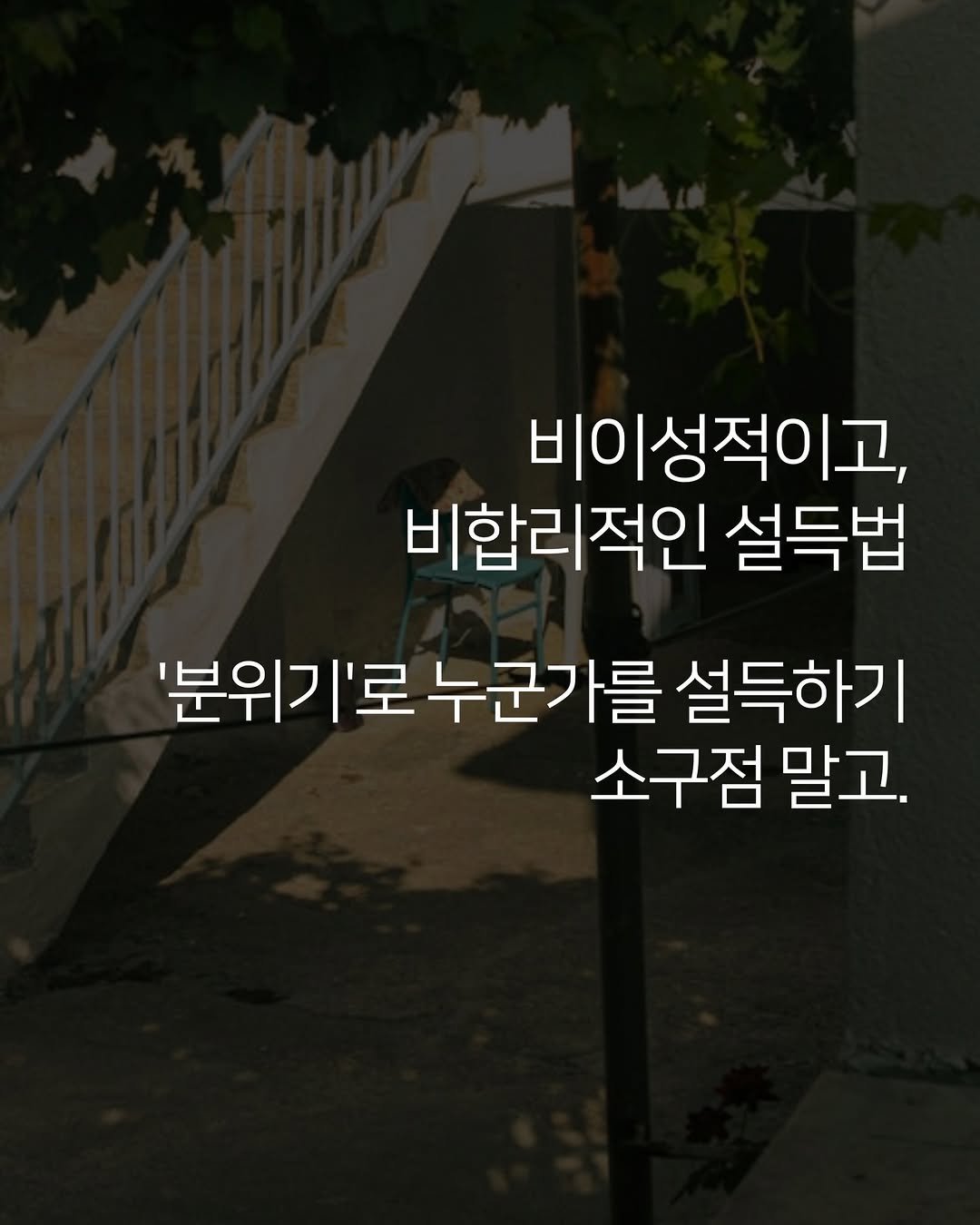 moist_mlab 게시물 이미지: 누군가 나를 이성적인 잣대로만 평가하는 것이 아니라…

내가 풍기는 ’분위기‘에...