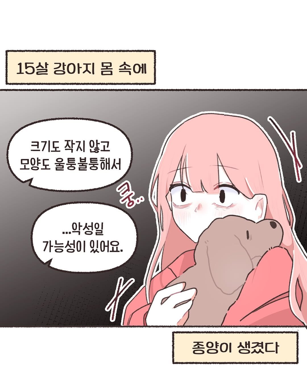 Photo by 모지Moji | 인스타툰 일상툰 커플툰 on February 01, 2026. May be a doodle of text that says '15살 강아지 15살강아지몸속에 몸 속에 크기도 작지 않고 모양도 울퉁불둥해서 ጭቴ. ...악성일 가능성이 있어요. 종양이 생겼다'.