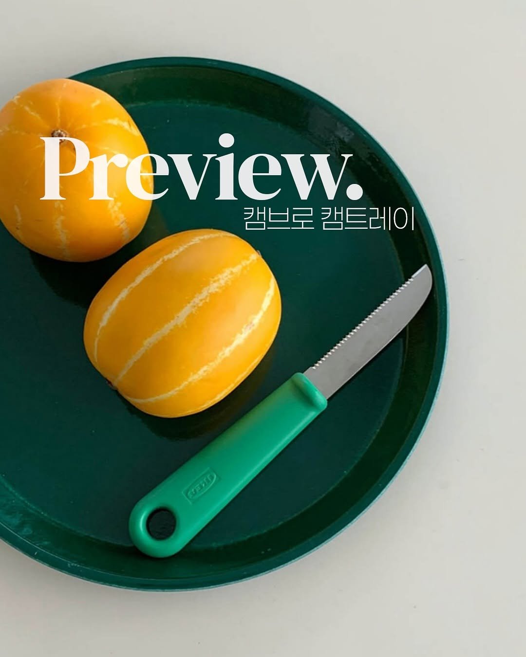 Photo by 맘이가요ㅣ집밥레시피ㆍ살림템 on August 21, 2025. May be an image of mango, melon, kitchenware, cutlery, cantaloupe and text that says 'Preview. 캠브로 샐브로캠트레이 캠트레이 WD'.
