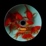 sanho.studio 프로필 사진