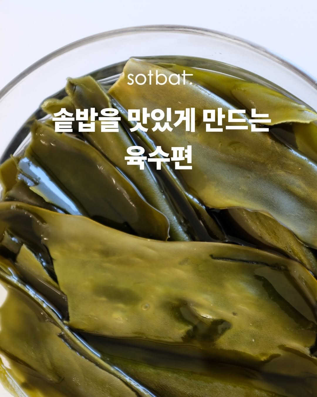 Photo by 모모의솥밭 on March 20, 2026. May be an image of seaweed and text that says 'sotbat. 솥밥을 맛있게 만드는 육수편'.