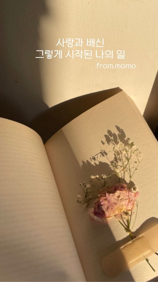 momo_from_wonderland 게시물 이미지: 나의 첫번째 결혼은..

보험설계사를 시작하게 된 계기를 얘기하려면
이 이야기를...