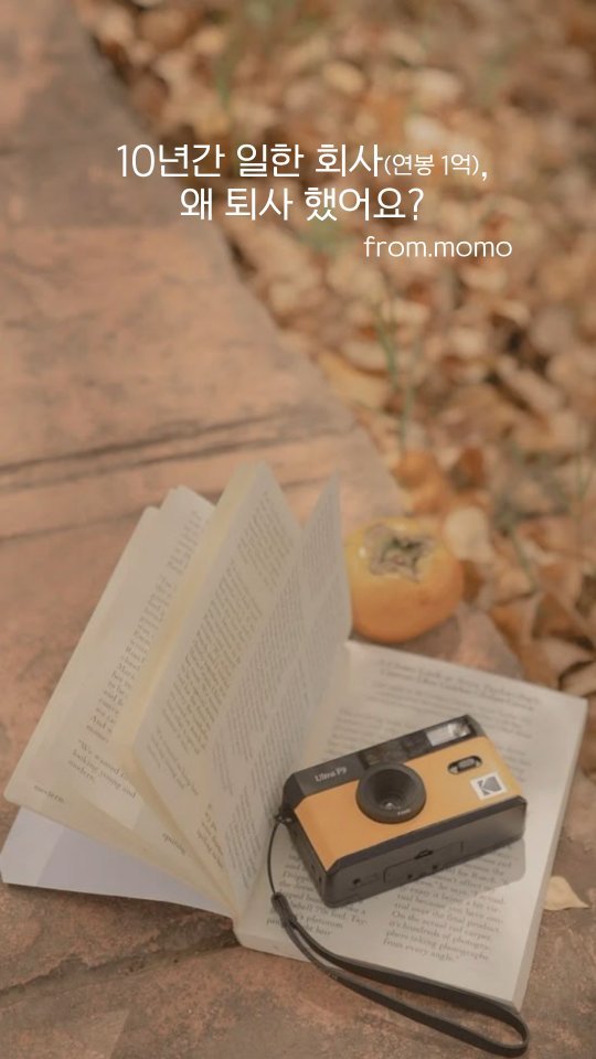 momo_from_wonderland 게시물 이미지: 무엇이 나를 멈추었을까..

스물 아홉,
나는 비교적 어린 나이에 보험회사에 입사를...