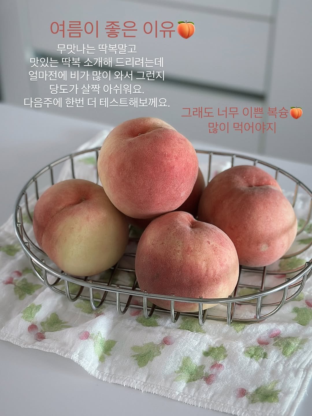 Photo by 모모키친 on August 07, 2025. May be an image of fruit and text that says '여름이 좋은 이유 무맛나는 무맛나는딱복말고 딱복말고 맛있는 딱복 소개해 드리려는데 얼마전에 비가 많이 와서 그런지 당도가 살짝 아쉬워요. 다음주에 한번 더 테스트해보께요. 그래도 너무 이쁜 복숭 많이 먹어야지'.