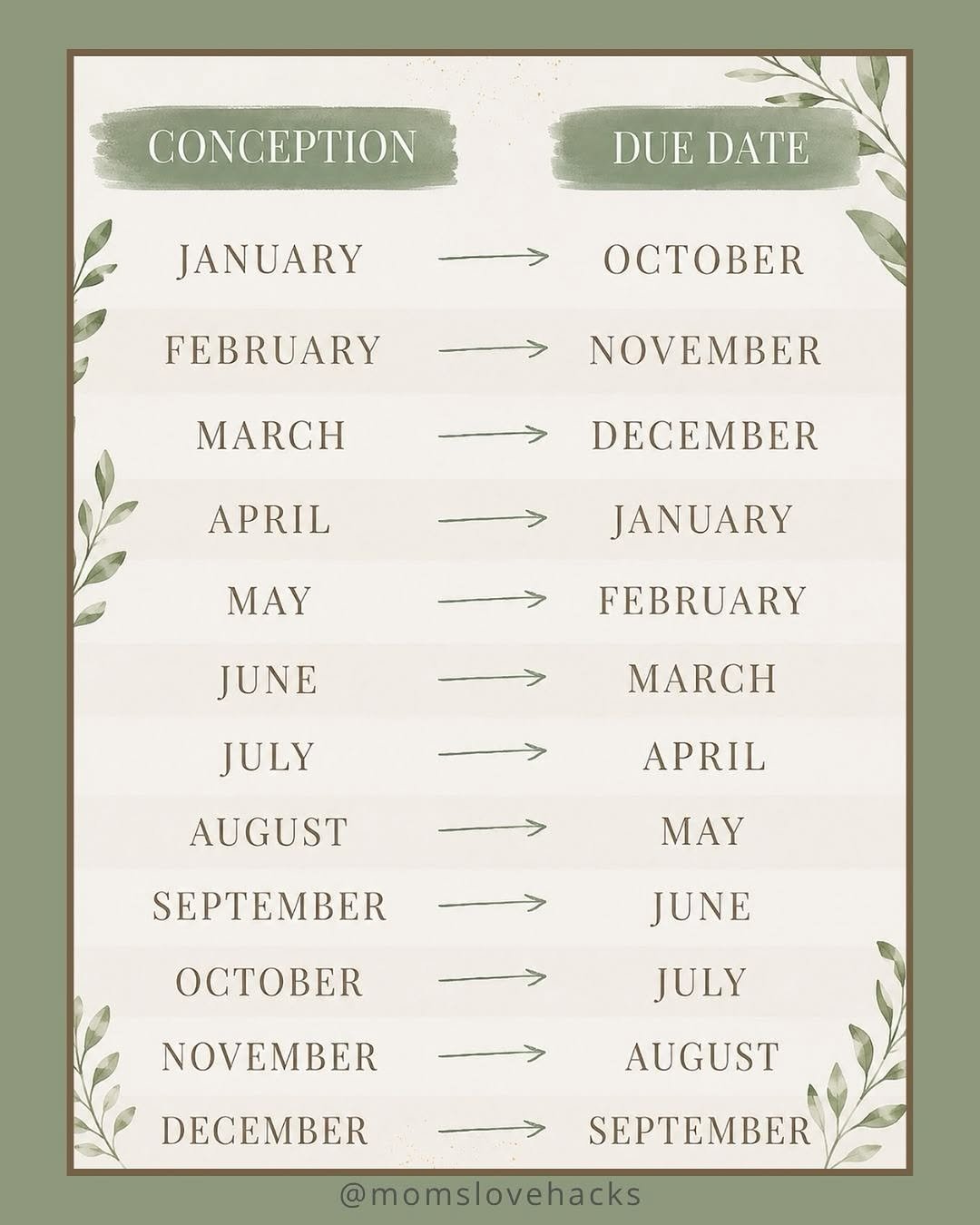 momslovehacks 게시물 이미지: An interesting infographic on how conception...
