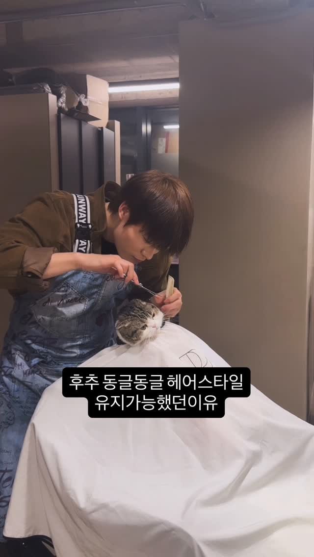 mondoseoul_a0 게시물 이미지: 다음 누구

#몬도서울 #후추 #개냥이