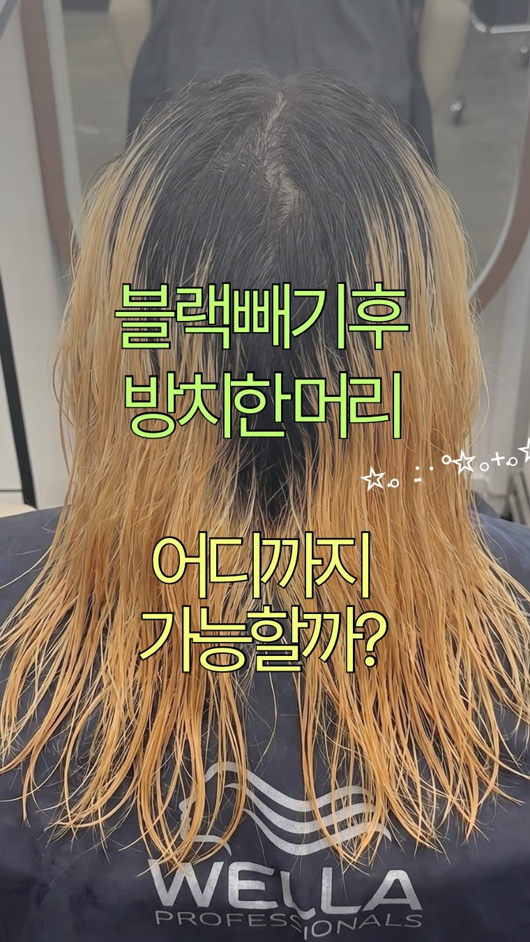 mondoseoul_a0 게시물 이미지: 하루만에 블랙빼기가 가능하다고 ??????
하루만에 원하는 헤어가 될 수 있다면...