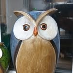 owltvman 프로필 사진