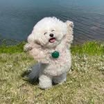 quick.issue 프로필 사진