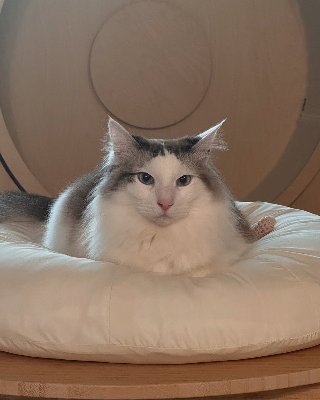 Photo by 김몽솜 on June 29, 2025.